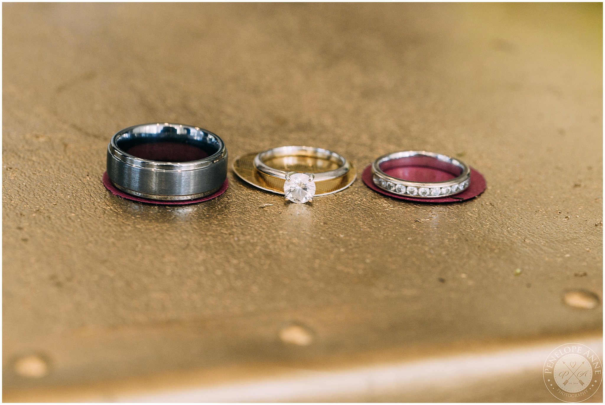Wedding Rings at the Cypress Grove Estate House