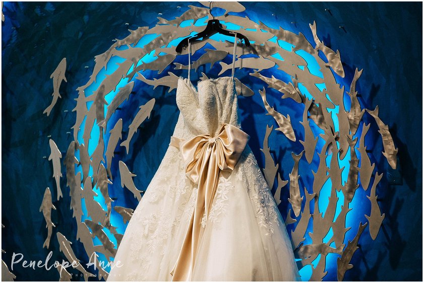 Wedding Dress at the Florida Aquarium